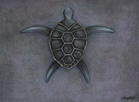 Waterschildpad potlood