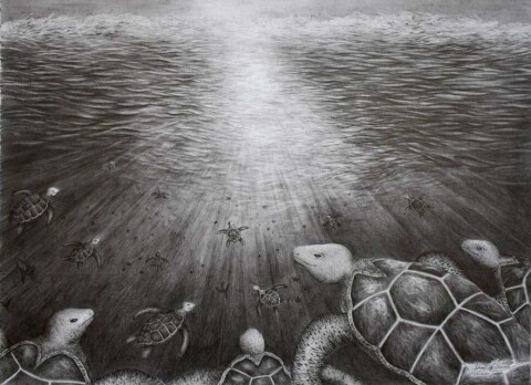 Waterschildpadden groep inkt+potlood
